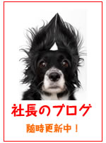 �В��̃u���O